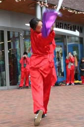 Xia Quan Kung Fu Tiger double hooks